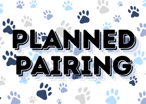 Planned Pairing of Kallie and Diamond